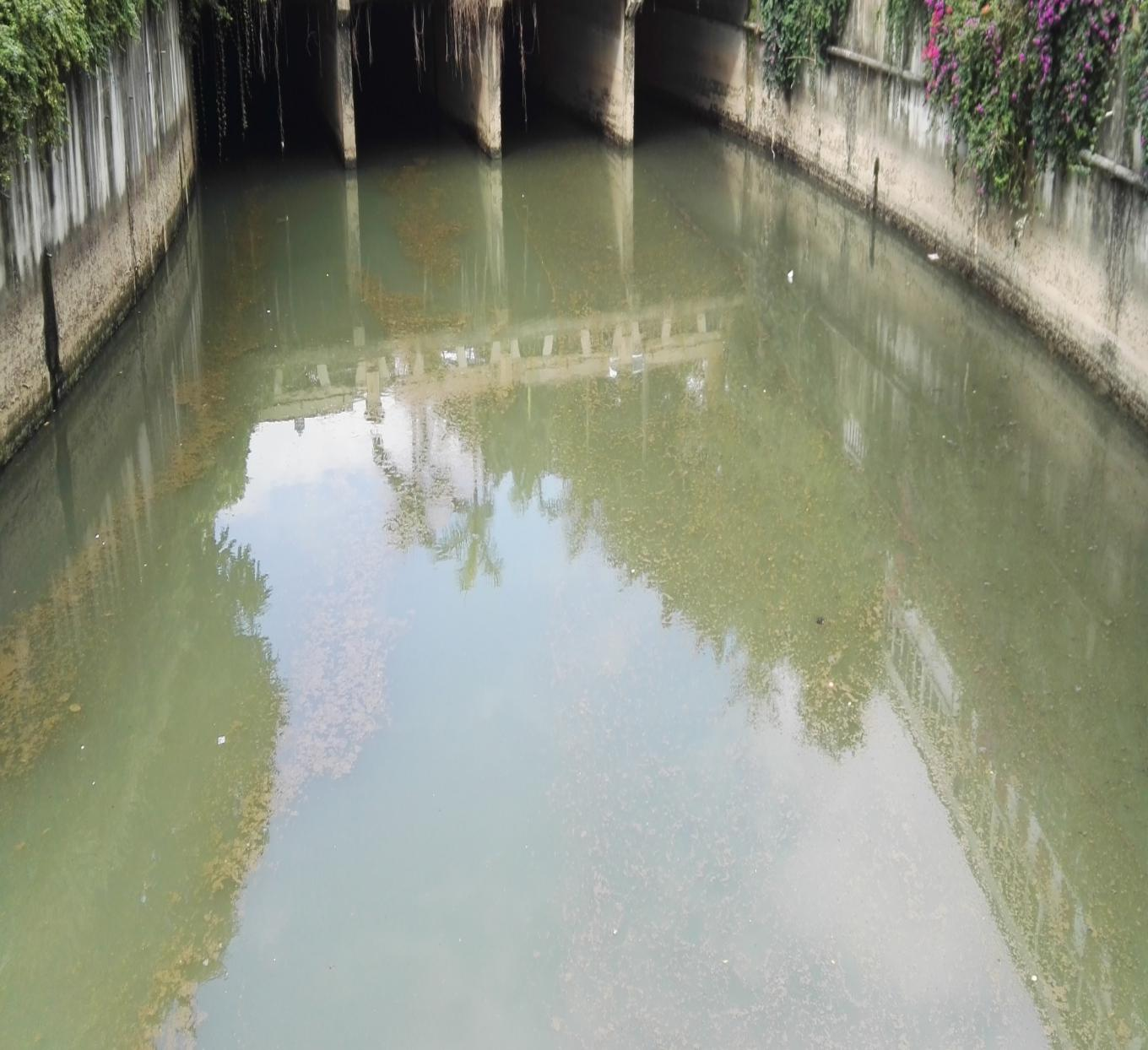 新洲河1